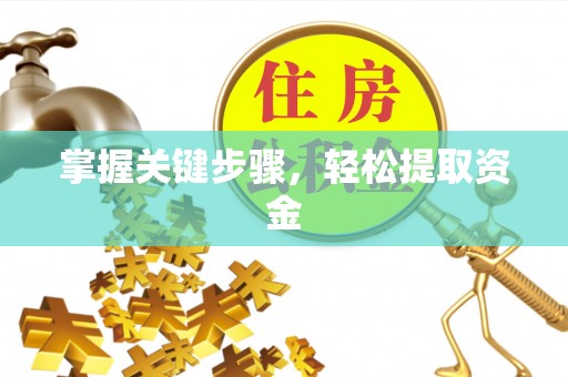 特克斯掌握关键步骤，轻松提取资金