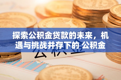 特克斯探索公积金贷款的未来，机遇与挑战并存下的 公积金贷款风险防控
