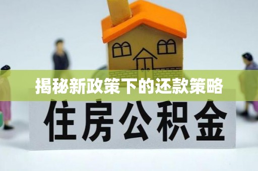特克斯揭秘新政策下的还款策略