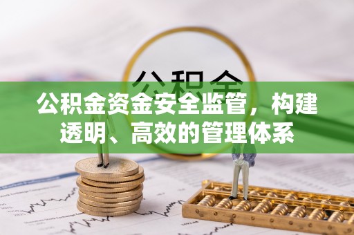 特克斯公积金资金安全监管，构建透明、高效的管理体系