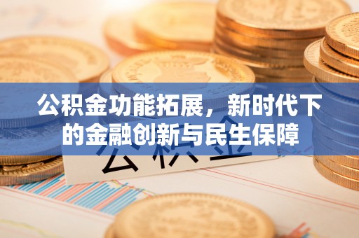 特克斯公积金功能拓展，新时代下的金融创新与民生保障