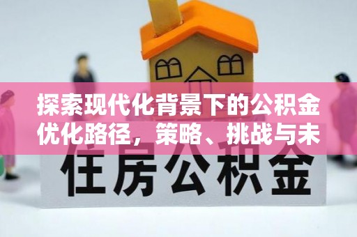 特克斯探索现代化背景下的公积金优化路径，策略、挑战与未来展望