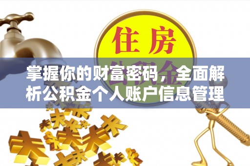 特克斯掌握你的财富密码，全面解析公积金个人账户信息管理与优化