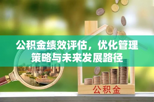 特克斯公积金绩效评估，优化管理策略与未来发展路径