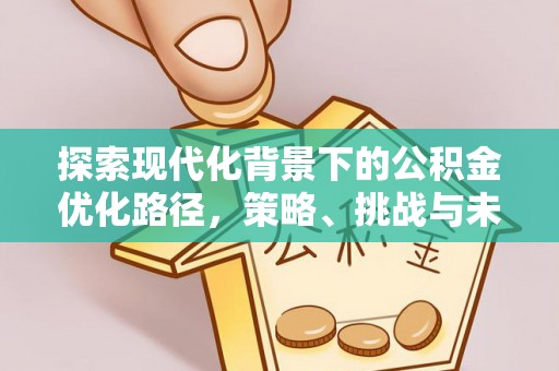 特克斯探索现代化背景下的公积金优化路径，策略、挑战与未来展望