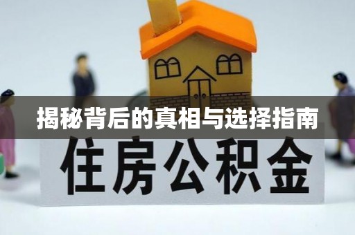 特克斯揭秘背后的真相与选择指南