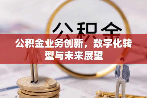 特克斯公积金业务创新，数字化转型与未来展望