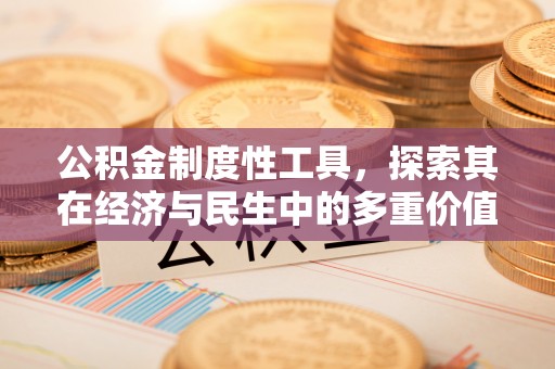 特克斯公积金制度性工具，探索其在经济与民生中的多重价值