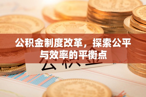 特克斯公积金制度改革，探索公平与效率的平衡点