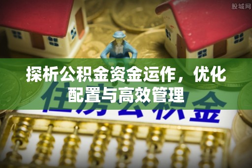 特克斯探析公积金资金运作，优化配置与高效管理