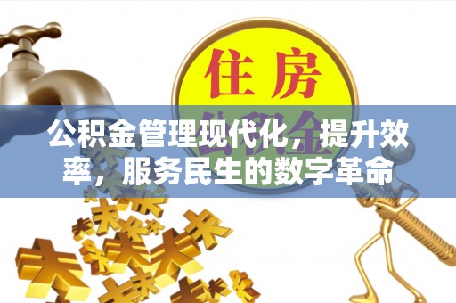 特克斯公积金管理现代化，提升效率，服务民生的数字革命