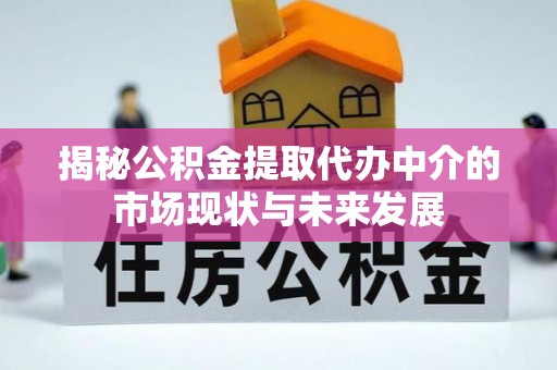 特克斯揭秘公积金提取代办中介的市场现状与未来发展