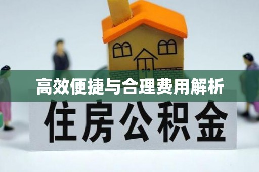 特克斯高效便捷与合理费用解析