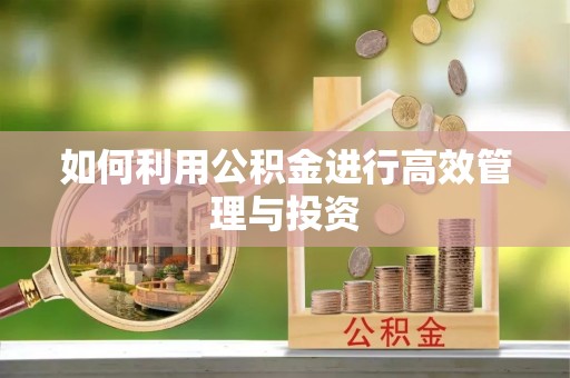 特克斯如何利用公积金进行高效管理与投资