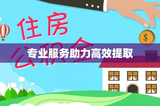 特克斯专业服务助力高效提取