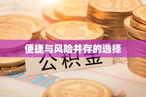 特克斯便捷与风险并存的选择