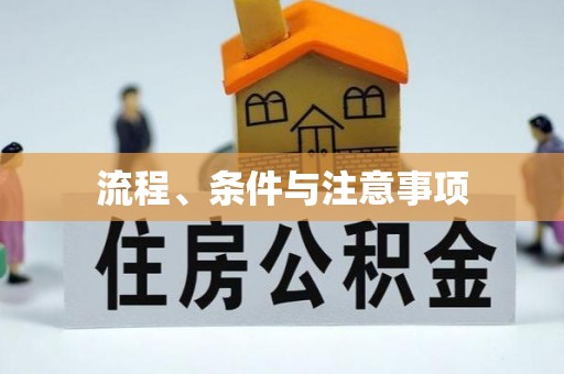 特克斯流程、条件与注意事项