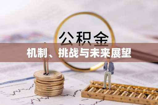 特克斯机制、挑战与未来展望